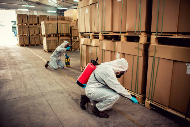 Best Emergency Pest Control  in Demarest, NJ