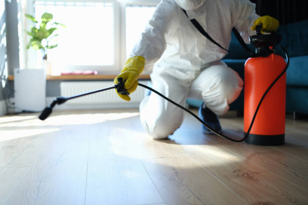 Best Residential Pest Control  in Demarest, NJ