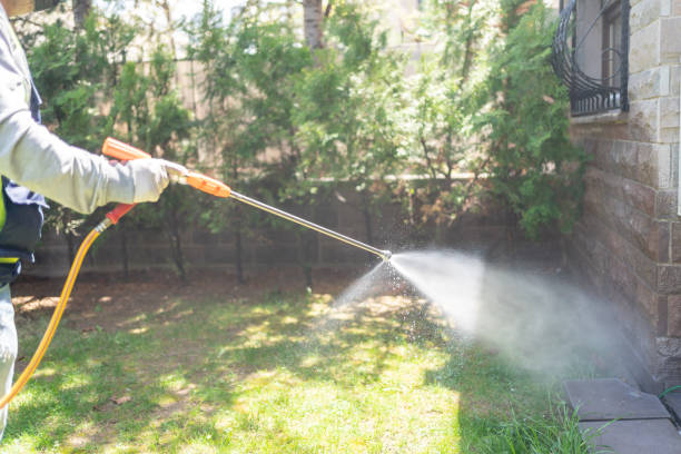 Pest Control for Restaurants in Demarest, NJ