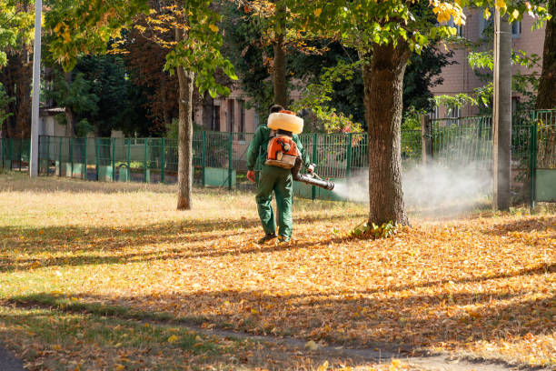 Best Rat Extermination Near Me  in Demarest, NJ